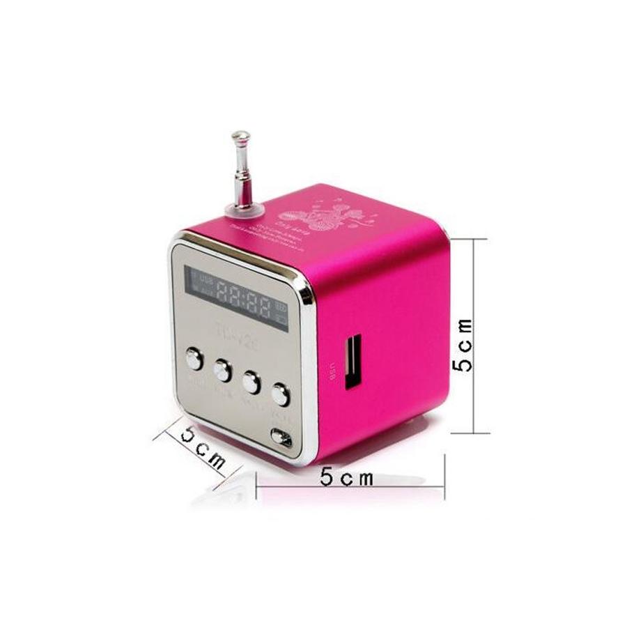 TD-V26 Portable Radio FM Micro SD/TF Music Player